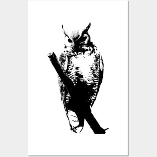 owl t-shirt Posters and Art